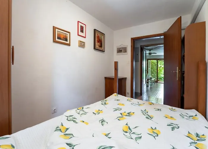 Ruj Apartment