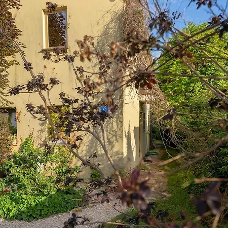 Apartman Ruj Zambratija (Istria)