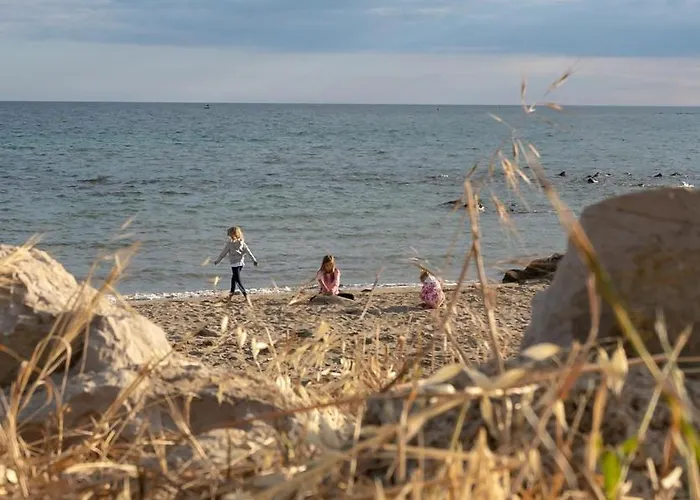 Ruj * Zambratija (Istria)